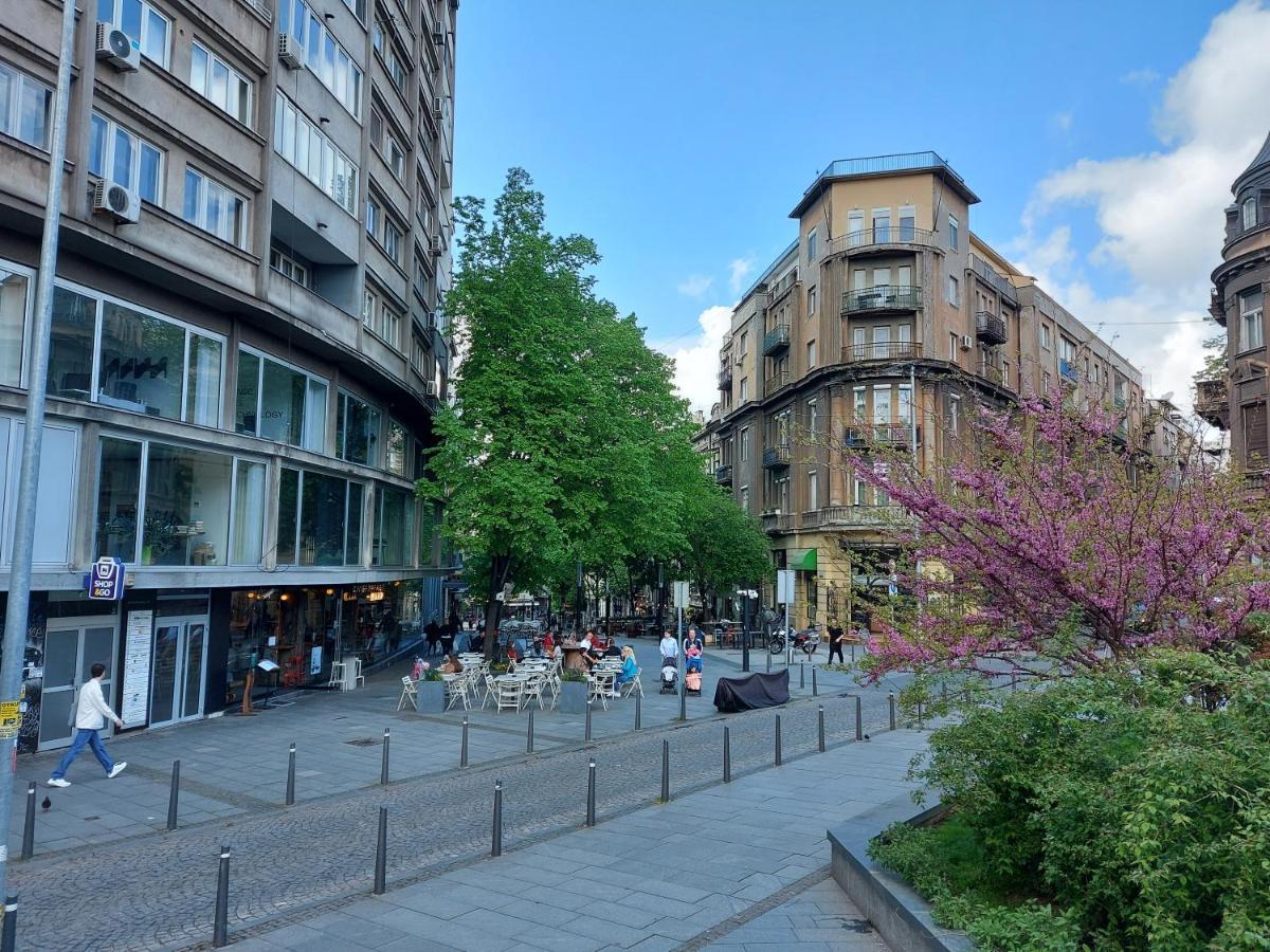 Lotta Apartment Belgrad Exteriör bild
